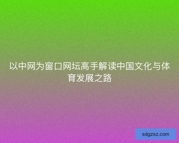 以中网为窗口网坛高手解读中国文化与体育发展之路
